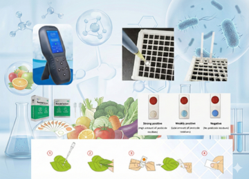 Gemini_Generated_Image_2t89x42t89x42t89