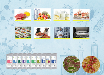 Gemini_Generated_Image_84x2ol84x2ol84x2